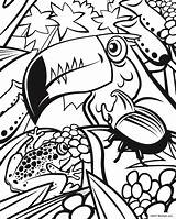 Jungle Coloring Pages Choose Board Sheets Colouring sketch template