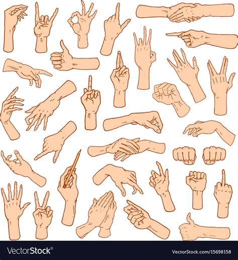 gestures arms stop palm thumbs up finger vector image