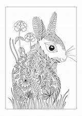 Bunny Hare Rabbits Lapin Marchhare Coloringbay Treffpunkt Zeichen Gcssi sketch template