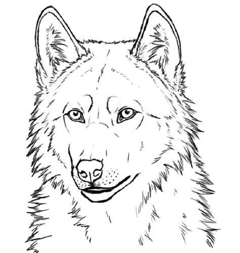 wolf coloring pages realistic kidsworksheetfun