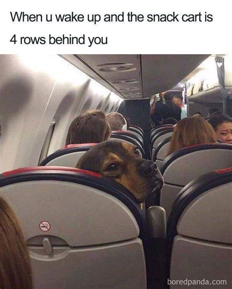 30 Funny Air Travel Memes Barnorama