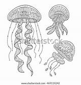 Jellyfish Zentangle Antistress Stylized Illustration Drawn Zendoodle sketch template