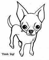 Chihuahua Coloring Pages Dog Big Think Print Drawing Color Chihuahuas Printable Dogs Puppy Puppies Netart Line Teacup Cute Visit Choose sketch template