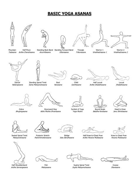 top basic yoga poses  beginners  pictures yoga poses