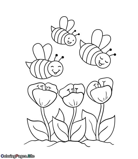 honey bee coloring pages  kids  coloring pages
