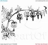 Bleeding Heart Flower Clipart Vintage Flowers Tattoo Border Retro Royalty Coloring Vector Vine Prawny Clipartof Drawing Tattoos Designs Drawings Clipground sketch template