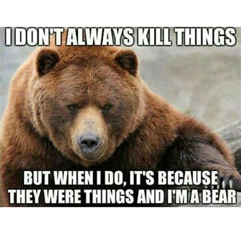 da bears bear meme funny bears bear