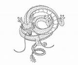Shenron Dragon Coloring Pages sketch template