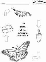 Butterfly Cycle Life Worksheet Monarch Coloring Caterpillar Pages Printable Kids Worksheets Grade Metamorphosis Science Kidzone Ws Lifecycle Stages Drawing Facts sketch template