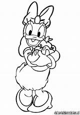 Coloring Pages Duck Daisy Print Cartoons Colouring Popular Comments sketch template