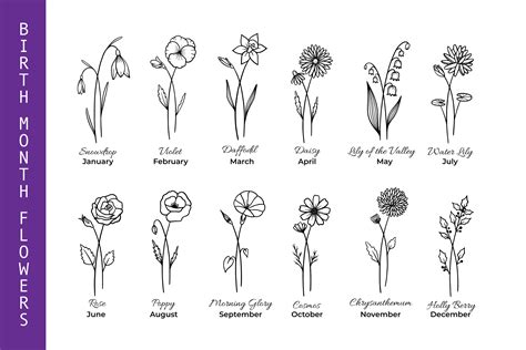 birth month flowers svg graphic  armodirella creative fabrica