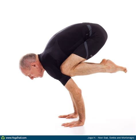 crow pose yoga asana image  jogahipokrat