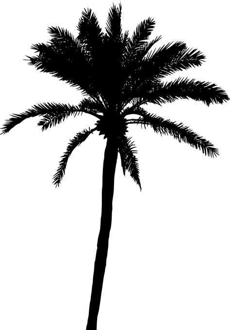 20 Palm Tree Silhouette (PNG Transparent) Vol. 2 | OnlyGFX.com