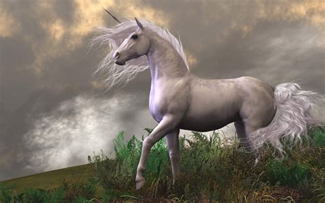 unicorn white horse  mountain fantasy art desktop hd wallpapers  mobile phones