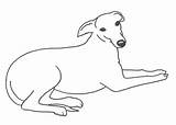 Whippet Clipart Greyhound Clip Outline Dog Line Template Italian Digital Coloring Drawings Cliparts Sketch Greyhounds Library Pages Elegant Head Thewhippet sketch template