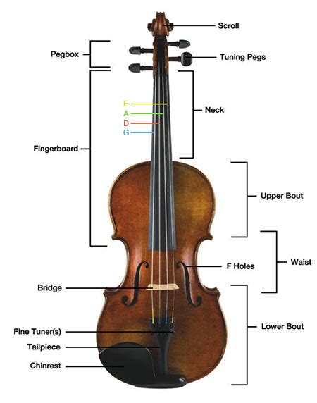 parts   violin  tunedcom