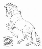 Rearing Lineart Realistic Aufzucht Hayvanlar Ohne Possibly Bucking Micron sketch template