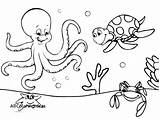 Coloring Pages Sea Deep Creatures Getcolorings Under Getdrawings Color sketch template