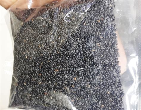 ceylon basilkasa kasatukmaria seeds   shipping gastritis relief ebay