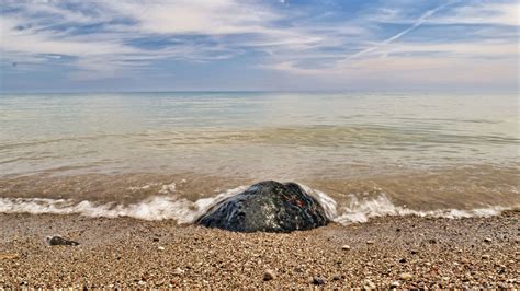 man finds  appears    brain washed   wisconsin beach complex