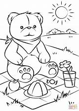 Bear Teddy Coloring Picnic Pages Bears Printable Baby Kids Drawing Scene Sketch Summer Color Sheets Children Print Preschool Crafts Getcolorings sketch template