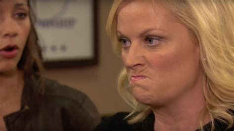 dear nra don t mess with leslie knope