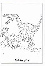 Dinosauri Animali Stampare Pianetabambini Velociraptor sketch template