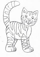 Katze Katzen Ausmalbild Kinderbilder Vermisstenanzeige Nagelbilder Selten Ausmalen Malvorlage Pferde Fur Hund Fadengrafik sketch template