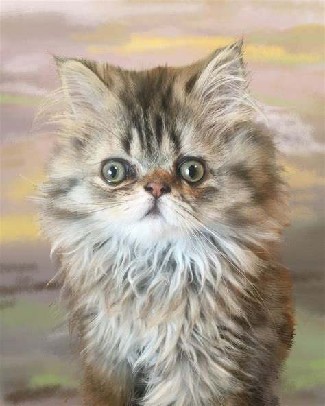 custom cat portrait realistic pet art lifelike hand etsy