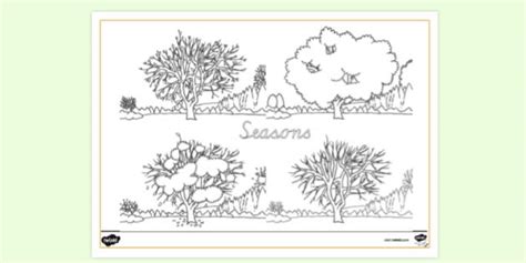 seasons colouring page primary school twinkl