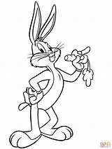 Bugs Bunny Coloring Disney Recent Edit Years sketch template