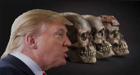 Genetic History Mapped Trump Full Of Neanderthal Dna