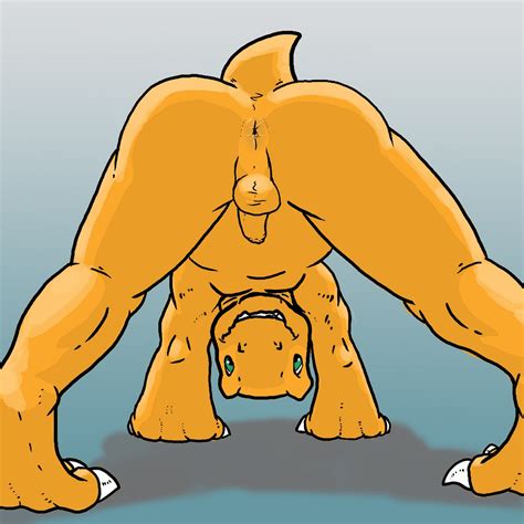 rule 34 agumon all fours anthro anthrofied anus ass