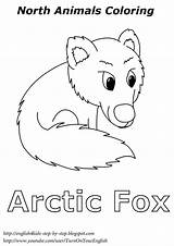 Arctic Animals Coloring Fox Worksheets Kids Pages Polar Winter Children Preschool Artic Animal Song Step Songs Printable Bear Crafts Foxes sketch template