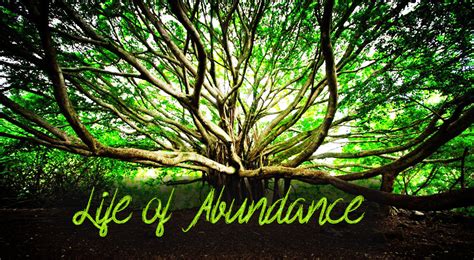 principles   life  abundance atmayoga