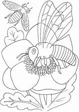 Coloring Pages Bee Insect Flower Insects Bees Print Kids Printable Animals Drawing Coloringbay Color Categories sketch template