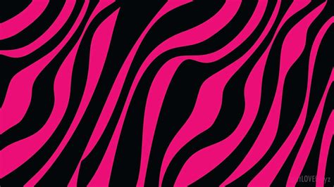 pink zebra wallpaper pictures myweb