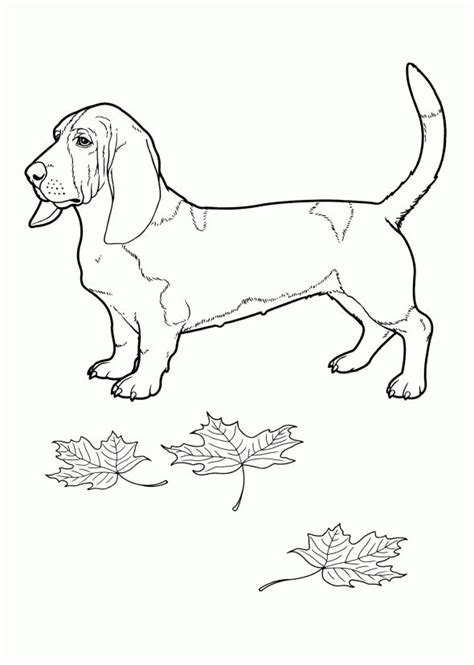 dog coloring pages dog coloring page horse coloring pages