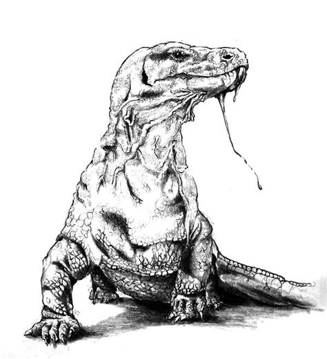 komodo dragon coloring pages  coloring pages
