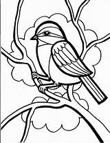 Coloring Pages Bird Animal Cute Clipartmag Animals Kids sketch template