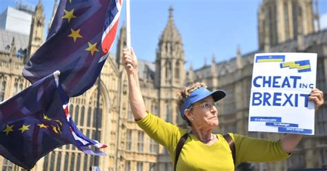 campaigners    brexit referendum  march    north east mps agree