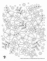 Coloring Adult Flowers Pages Woojr Floral sketch template