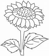 Sunflower Coloring Flower Clipart Drawing Sun Printable Line Pages Flowers Kids sketch template