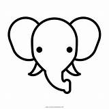 Elefante Colorir Ultracoloringpages sketch template
