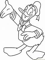 Showing Duck Donald Coloring Something Coloringpages101 Pages sketch template