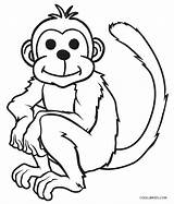 Monkey Coloring Pages Printable Kids Animal Zoo sketch template