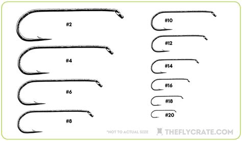 fly fishing hook sizes   choose   size  fly crate