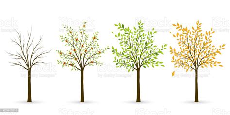 Tree In Four Seasons Winter Spring Summer Autumn Stock Illustration