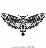Moth Death Skull Head Hawk Vector Butterfly Tattoo Stock Hand Halloween Illustration Vectors Logo Background Moths Royalty Print Coloring Drawn sketch template