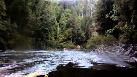 pieman river tasmania youtube